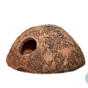 CeramicNature Cichlid-Iglu XS, ca. 10 × 10 × 4,5 cm Markenprodukt